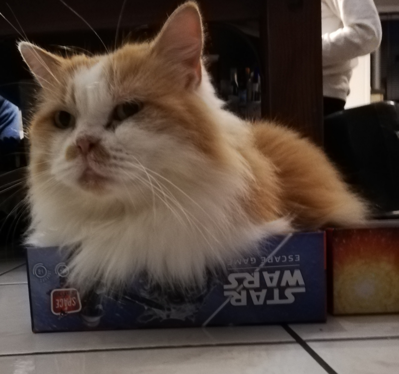 Journal de confinement #2