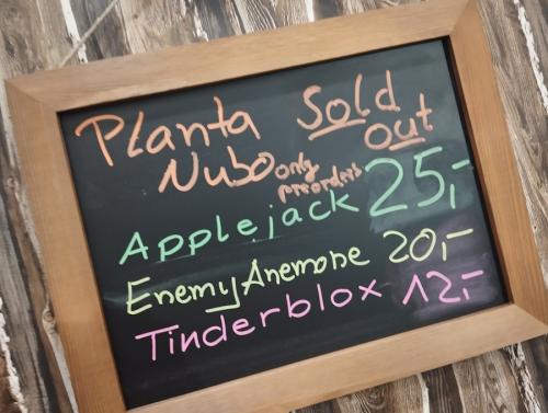 planta nubo sold out game guilders